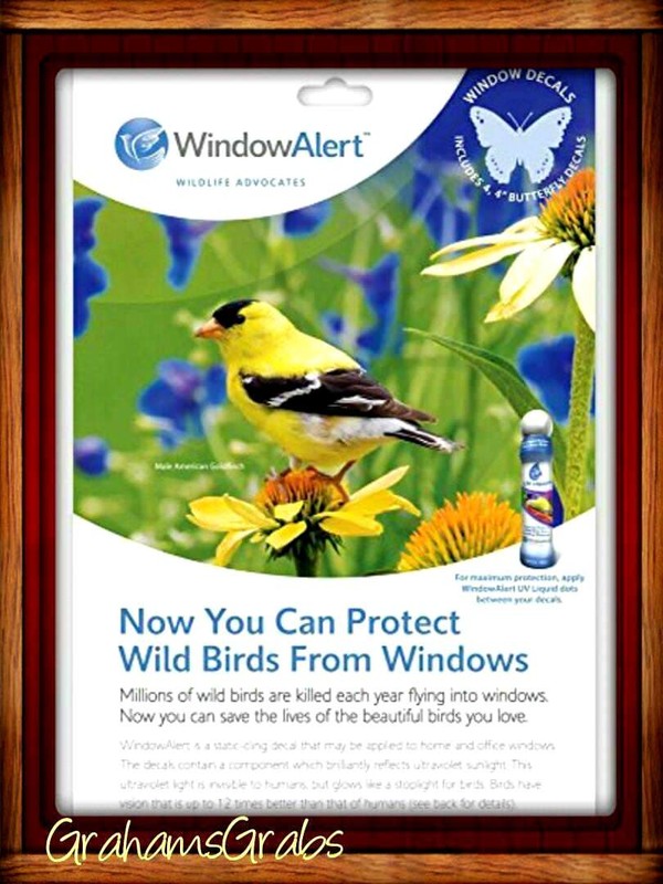 WINDOW ALERT ANTI-COLLISION CLINGS BUTTERFLY DECALS PREVENT WINDOW STRIKES gallery