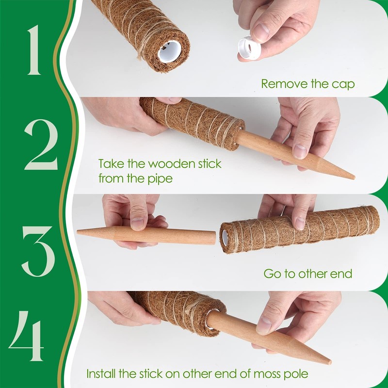 Moss Pole for Plants Monstera, Extendable Plant Sticks Support, Plant Stakes ... gallery
