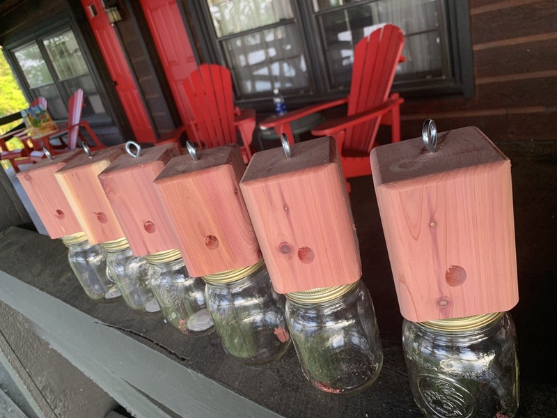 6 Red Cedar carpenter bee-bore cedar traps FREE SHIPPING gallery