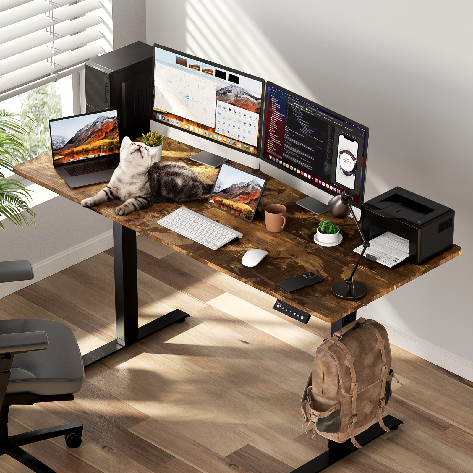 48/55/63" Brown Height Adjustable Electric Standing Desk Home Office Table/Frame gallery