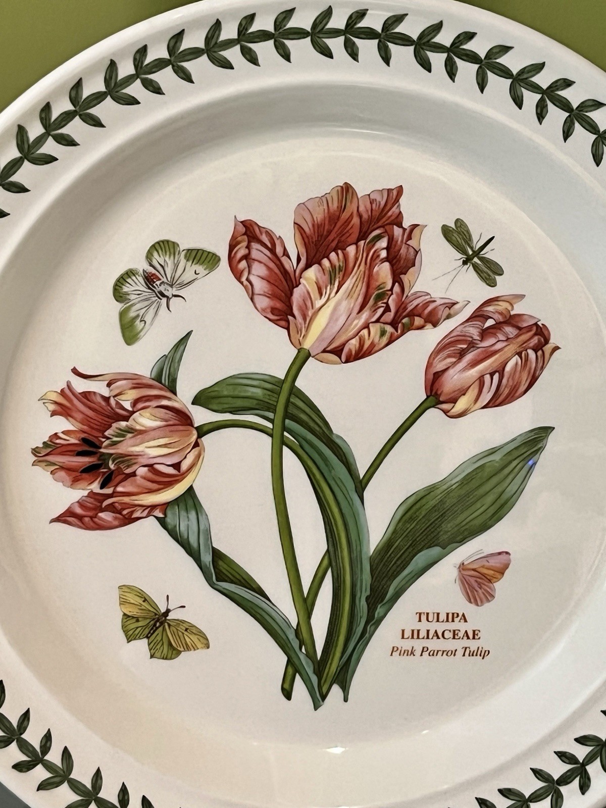 Portmeirion BOTANIC GARDEN Dinner Plate 10.5” Pink Parrot Tulip England gallery