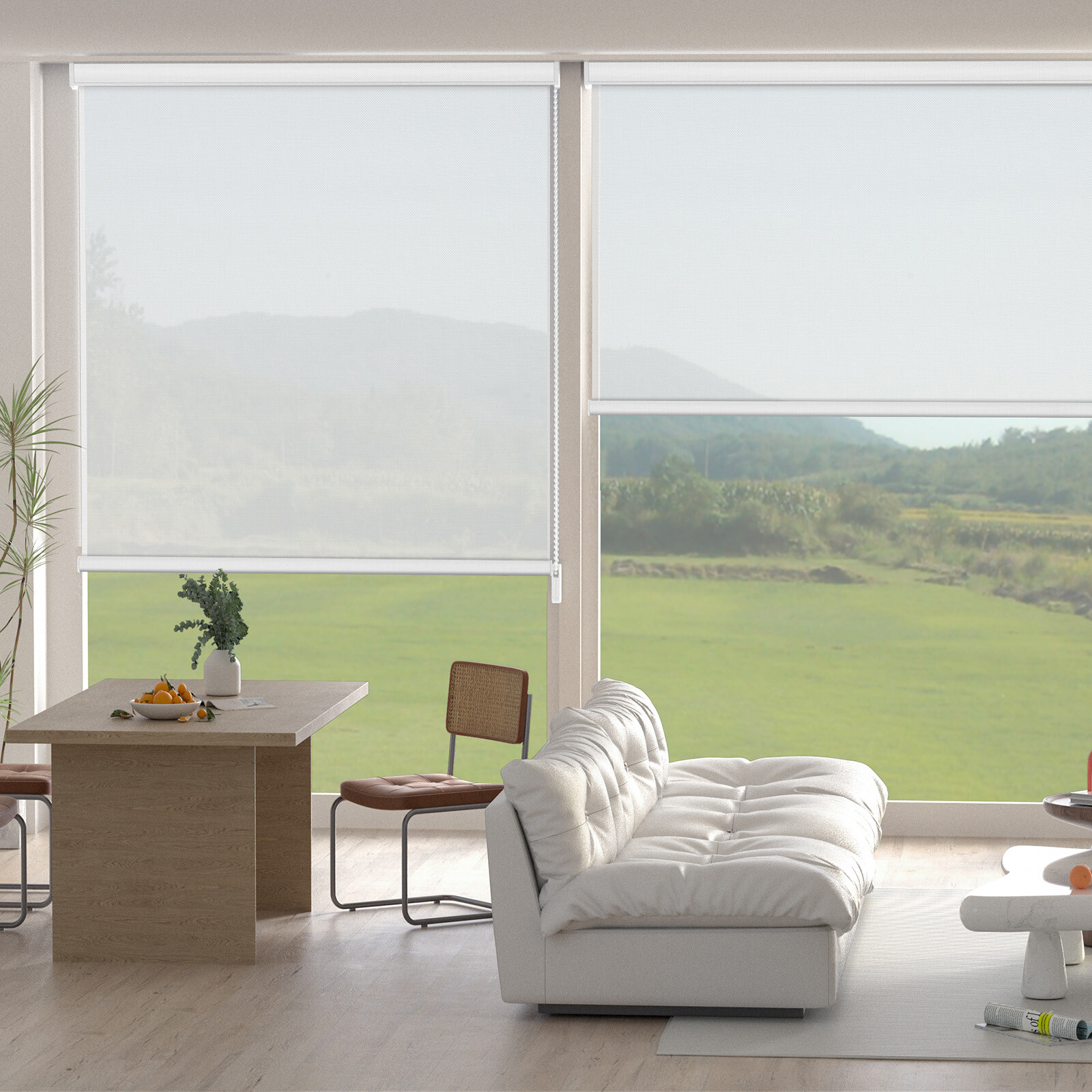 Changshade CUSTOM Made Corded Light Filtering Window Blinds Roller Shades gallery