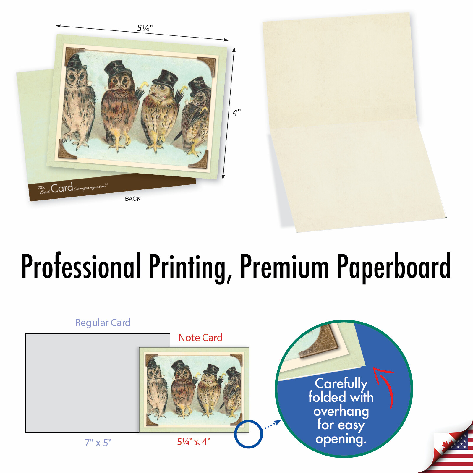 10 Assorted All Occasion Blank Note Cards with Envelopes - SWEET TWEETS M2344OCB gallery