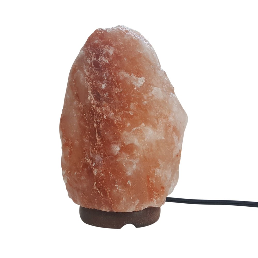 10 PACK Himalayan Salt Lamps 4-5 lbs EACH 100% Authentic Product of Pakistan!
