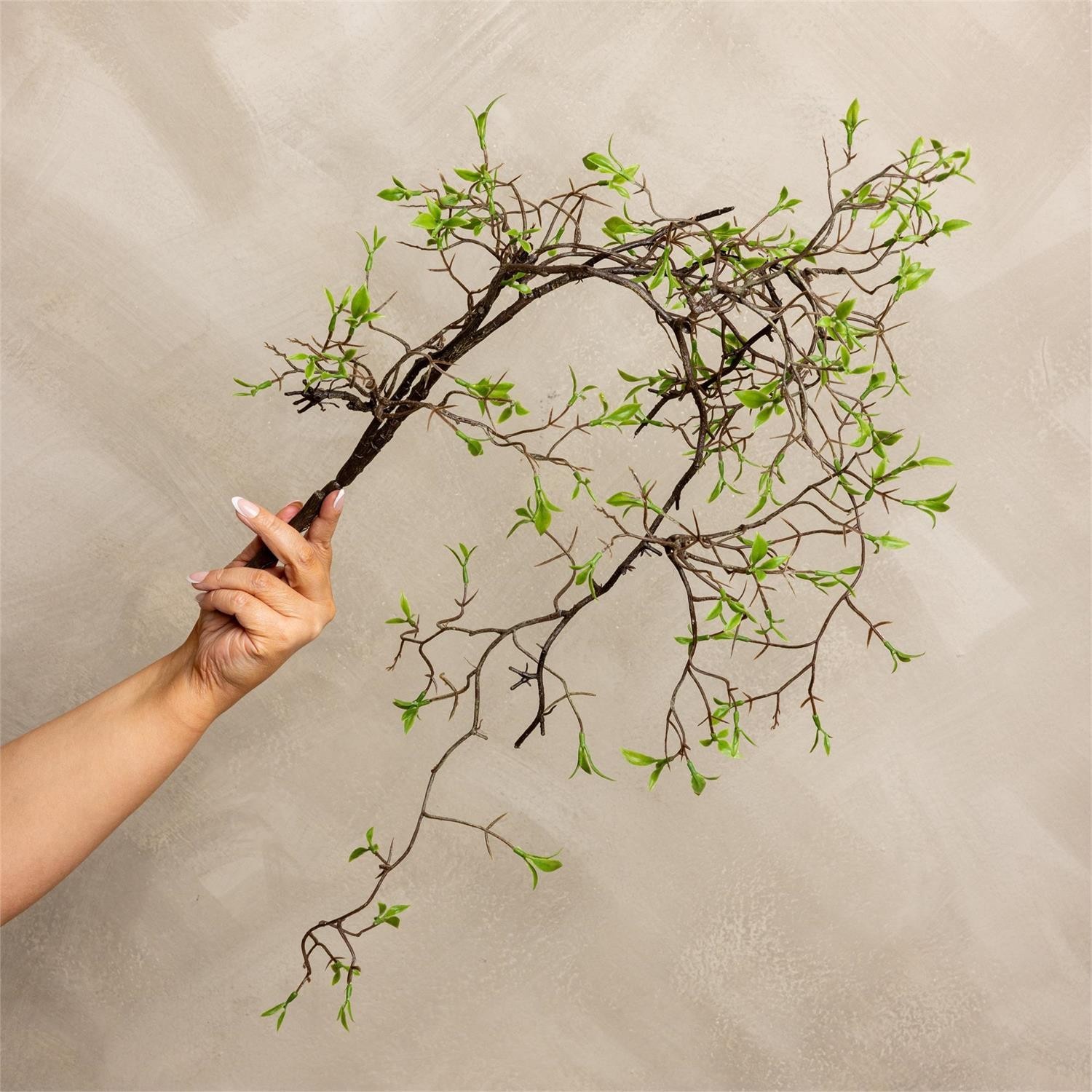New Rustic EARLY SPRING GREENERY TWIG BRANCH Hanging Tear Drop Vine Stem Bush gallery