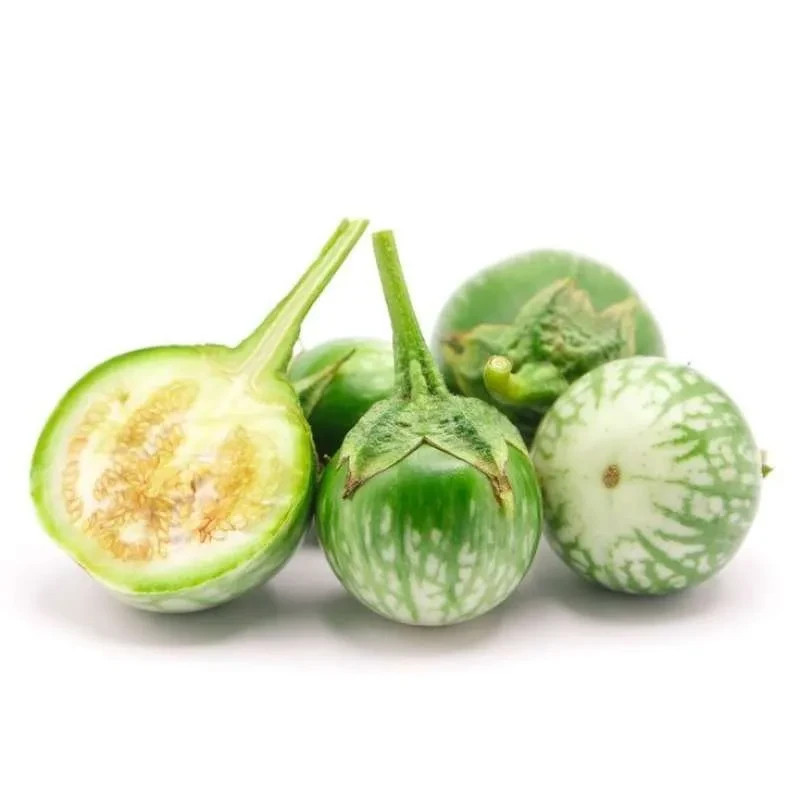 1000++ Exotic Eggplant Seedss (Solanum melongena) var. Round Green Eggplant gallery