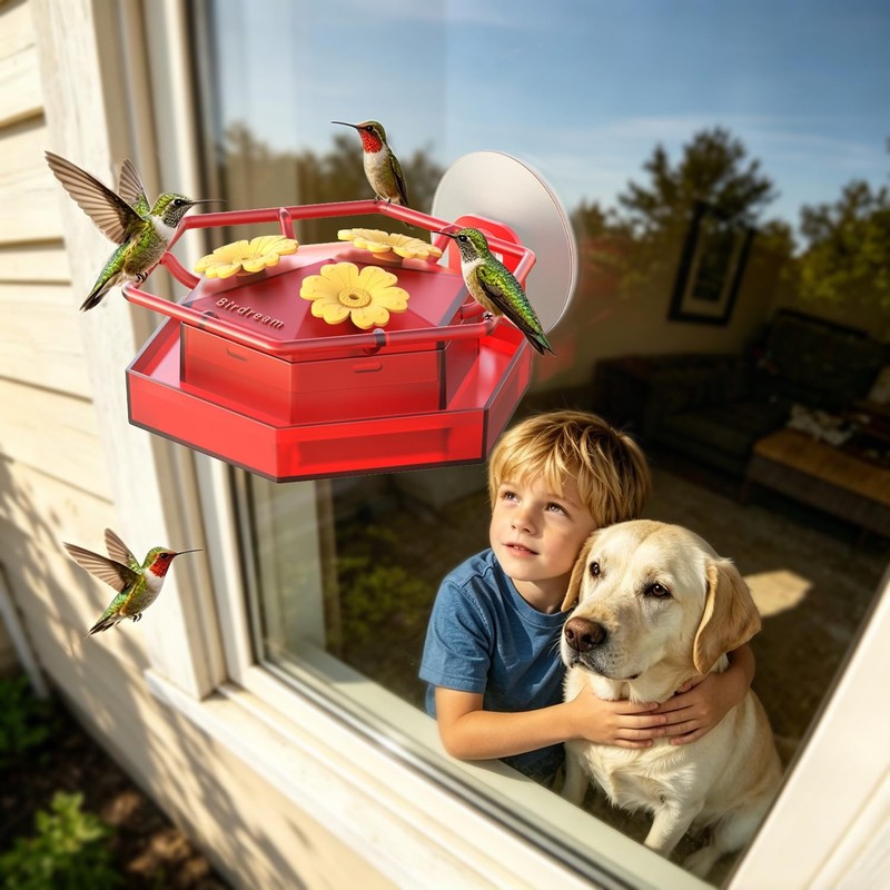 Birdream 2 Pack Window Hummingbird Feeders for Outdoors, Hummingbird Feeder with gallery