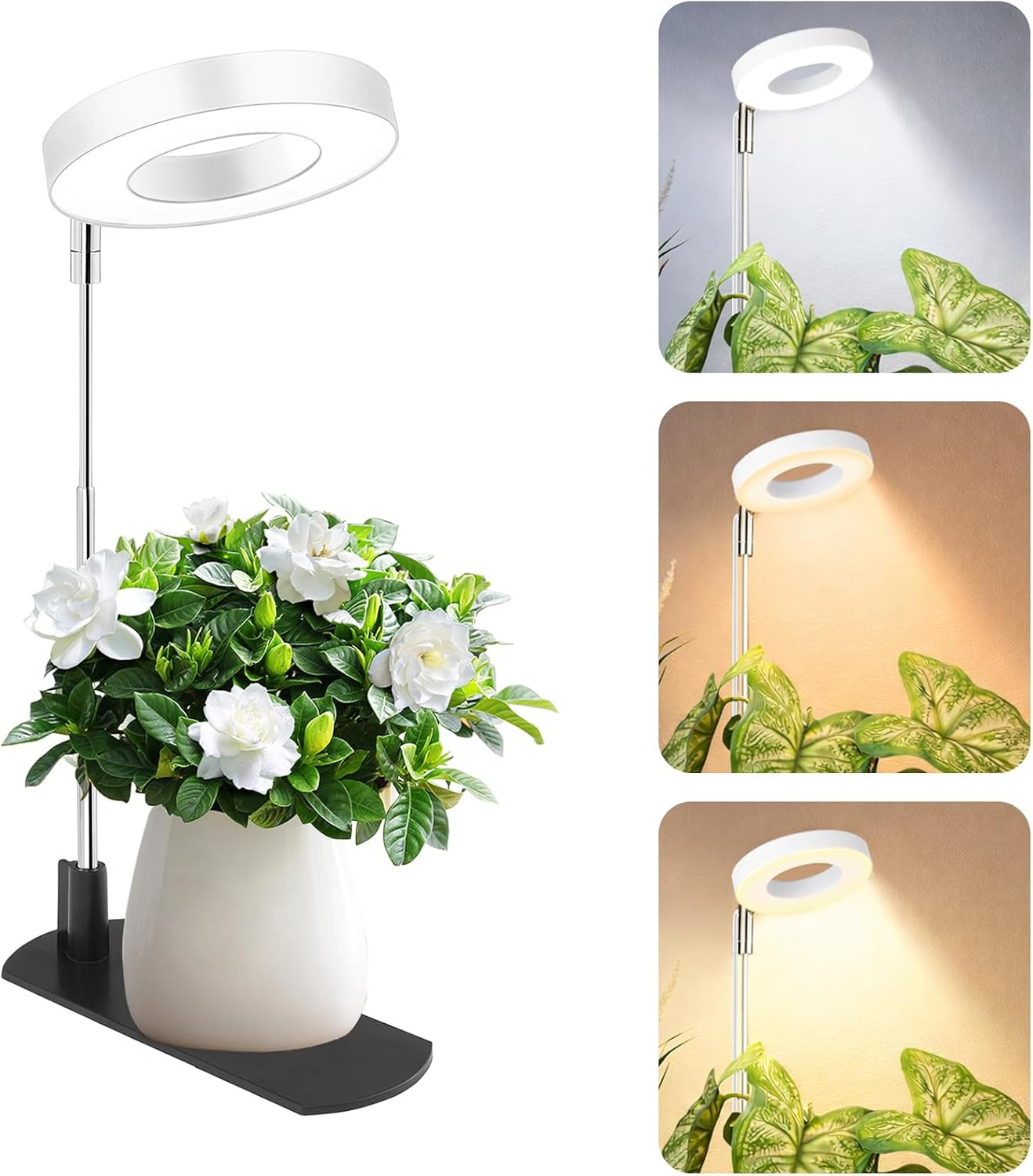 LED Grow Light Full Spectrum for Indoor Plants Auto Timer 6/8/12/16H Adjustable gallery