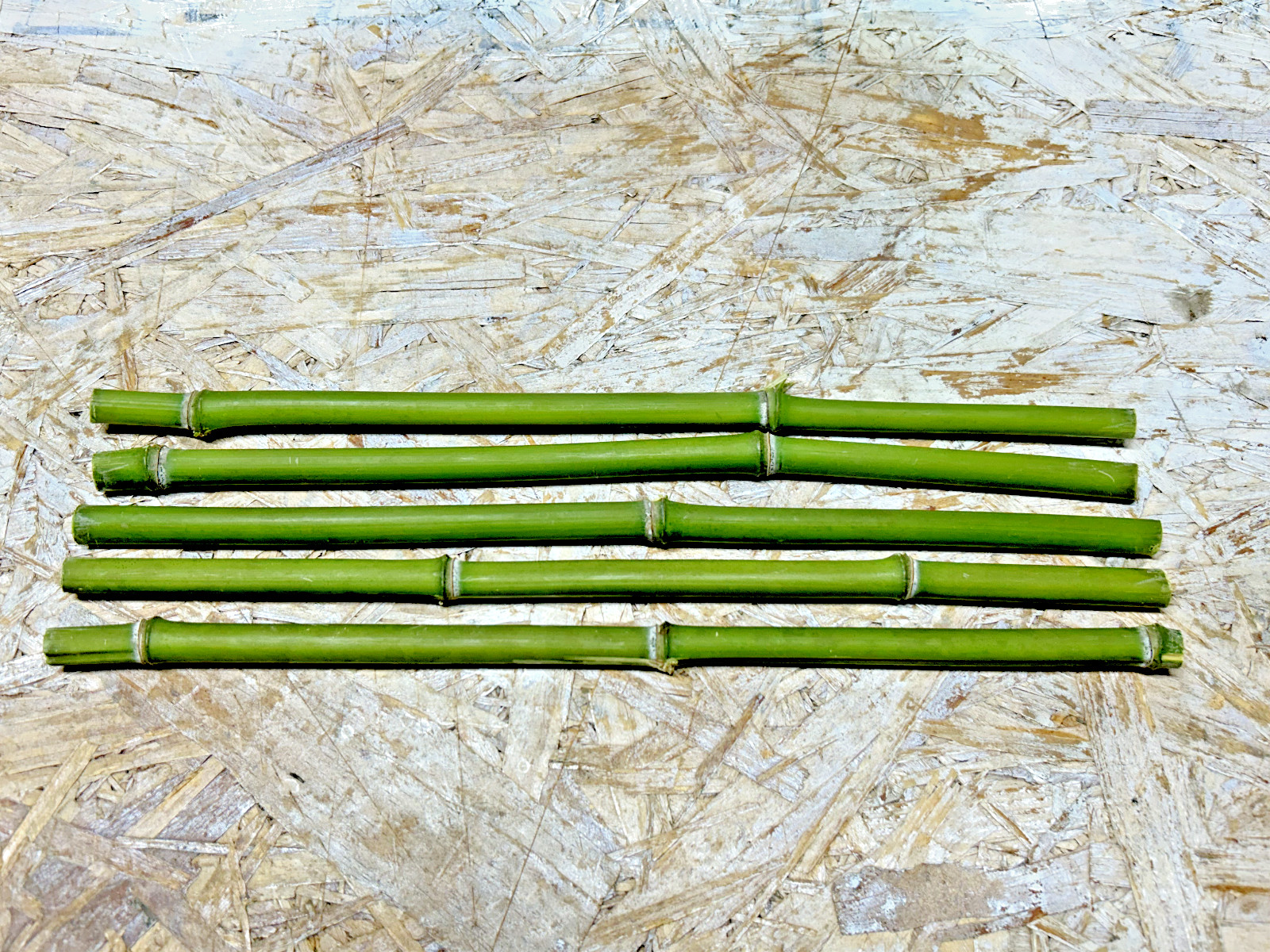 5PCS 1/2" Diameter Fresh Cut Natural Bamboo For Decor 12" gallery