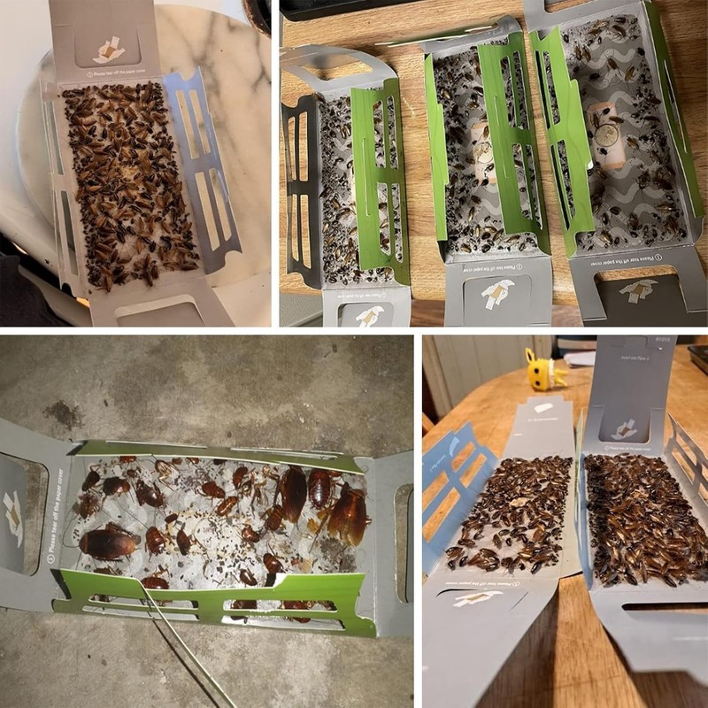 No Escape Roach Motel - 20 Child & Pet Safe Traps for Ultimate Home Protection gallery