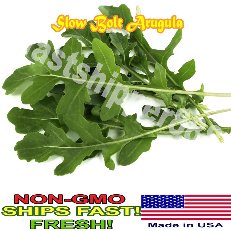 Slow Bolt Arugula Seeds for Planting | Non-GMO Vegetable Garden Seeds gallery