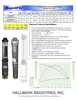 Submersible Pump, Deep Well, 4", 1/2HP/110V, 25 GPM/150', All S.S, Hallmark Ind gallery