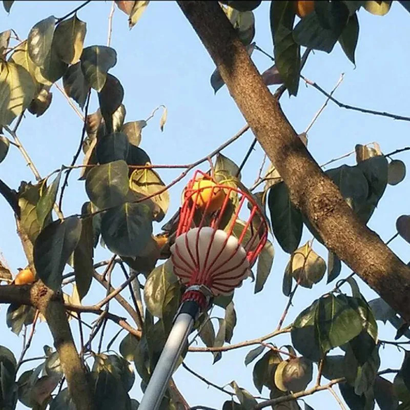 Practical Fruit Picker & Catcher - Convenient Gardening ToolPractical Fruit Pick gallery