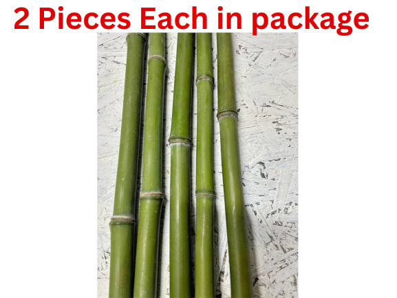 2 PCS 3/4” Diameter Fresh Cut Natural Bamboo For Decor 1ft - 4ft gallery