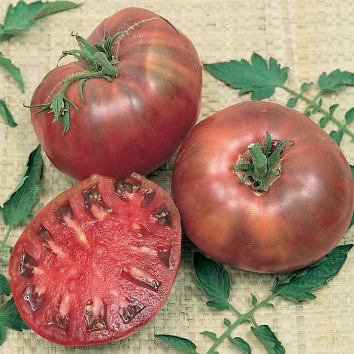 Cherokee Purple Tomato Seeds, Heirloom, NON-GMO, Variety Sizes, FREE SHIPPING gallery