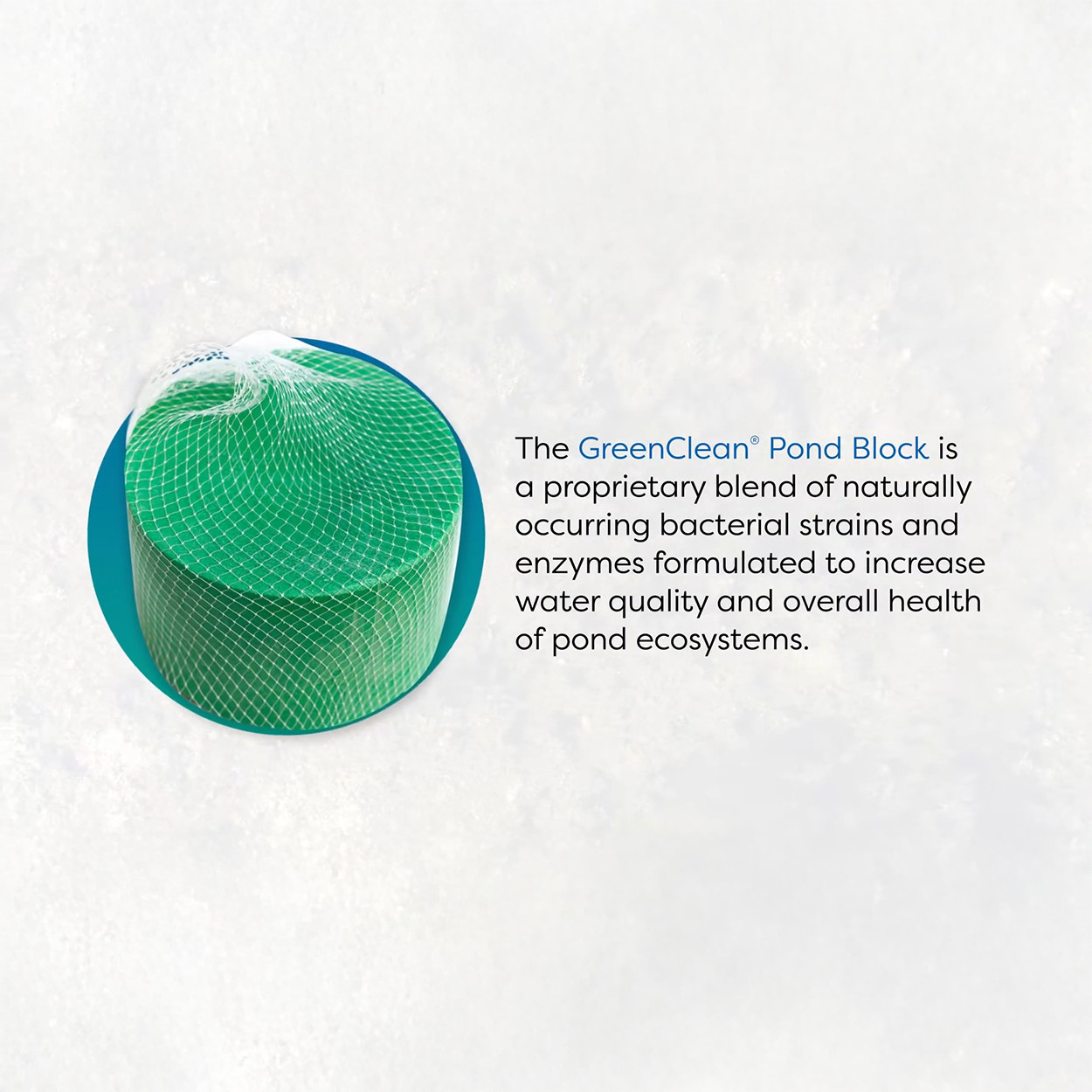 GreenClean Pond Block Water Treatment for Ponds 4x5lb Blocks by BioSafe gallery