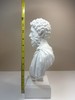 Marcus Aurelius Weighted Statue Bust 12” High Quality Hand Crafted Built to Last gallery