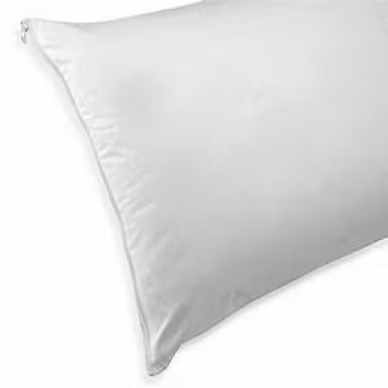 Bed Bug, Allergy Proof Standard Zip Pillow Protector gallery