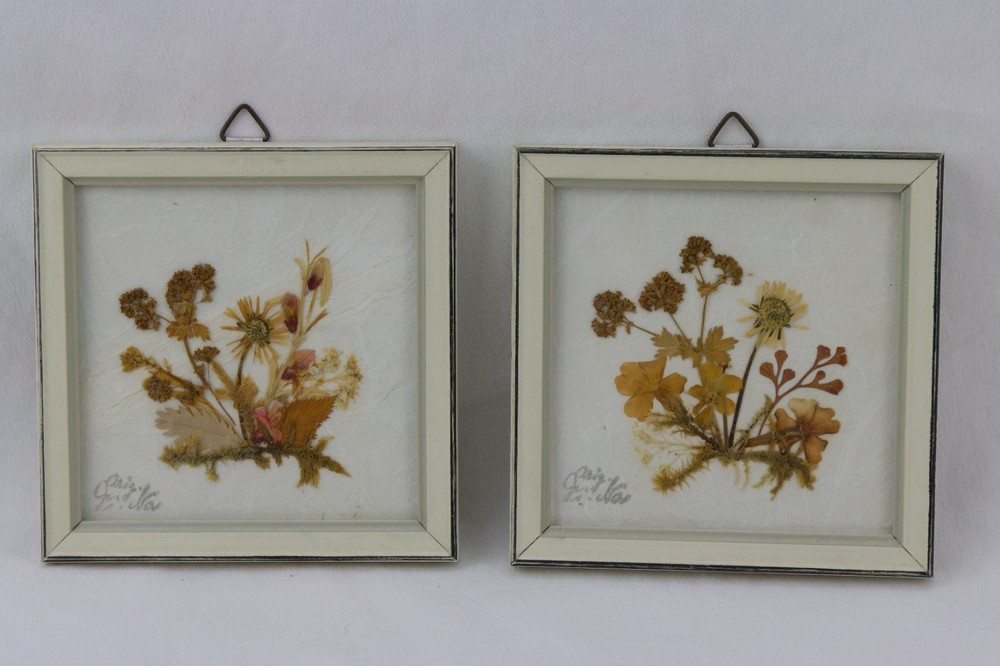 German Mini Framed Dried Flower Arrangements, Tagged, LOT OF 2
