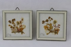 German Mini Framed Dried Flower Arrangements, Tagged, LOT OF 2