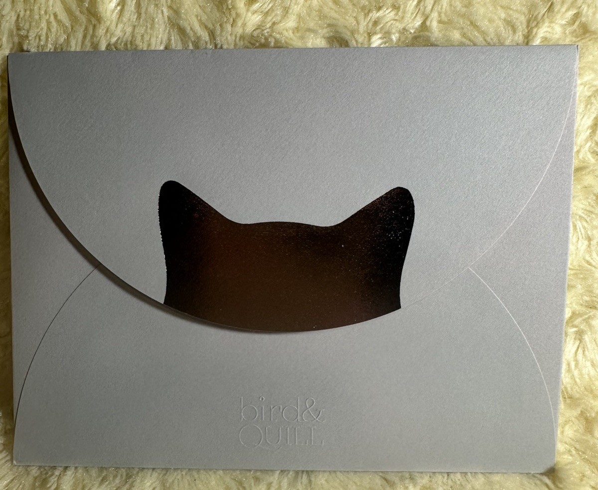 Papyrus Bird & Quill BLANK ALL OCCASIONS Card Felt 3D Cat Paw hi-five! gallery