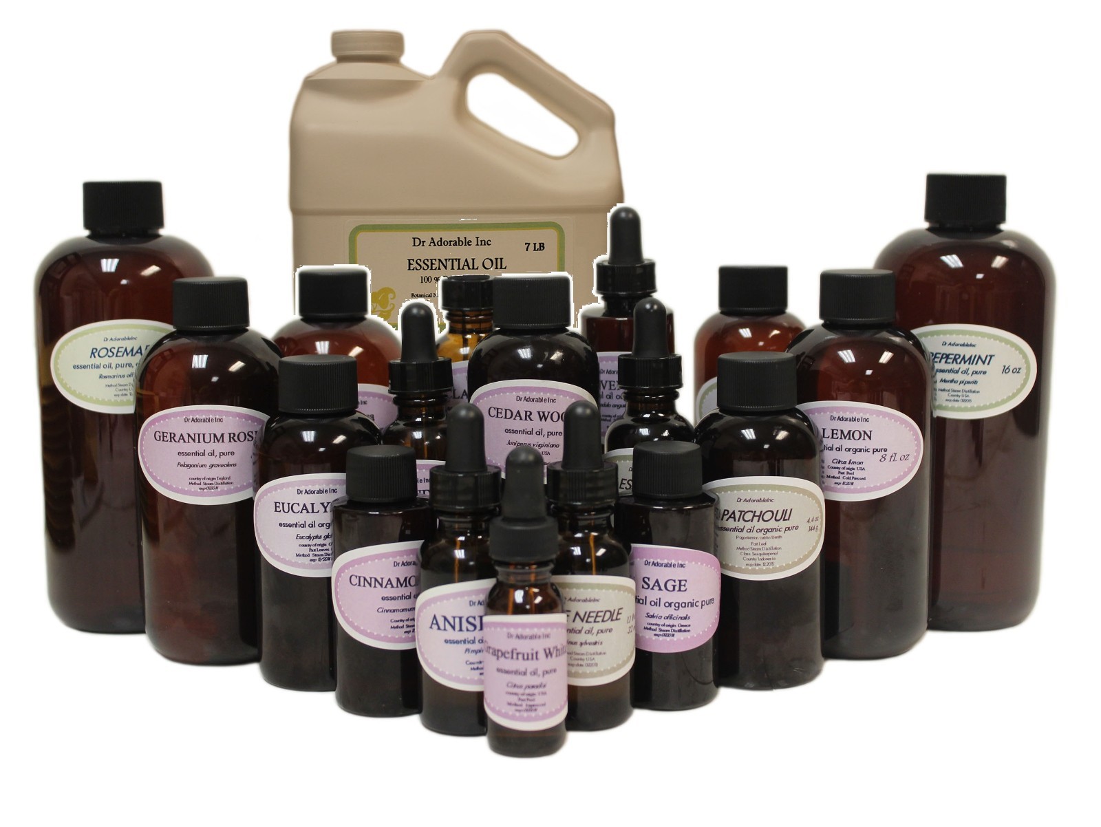 Ravintsara Essential Oil Aromatherapy Sizes from 0.6 oz to Gallon Free Shipping gallery