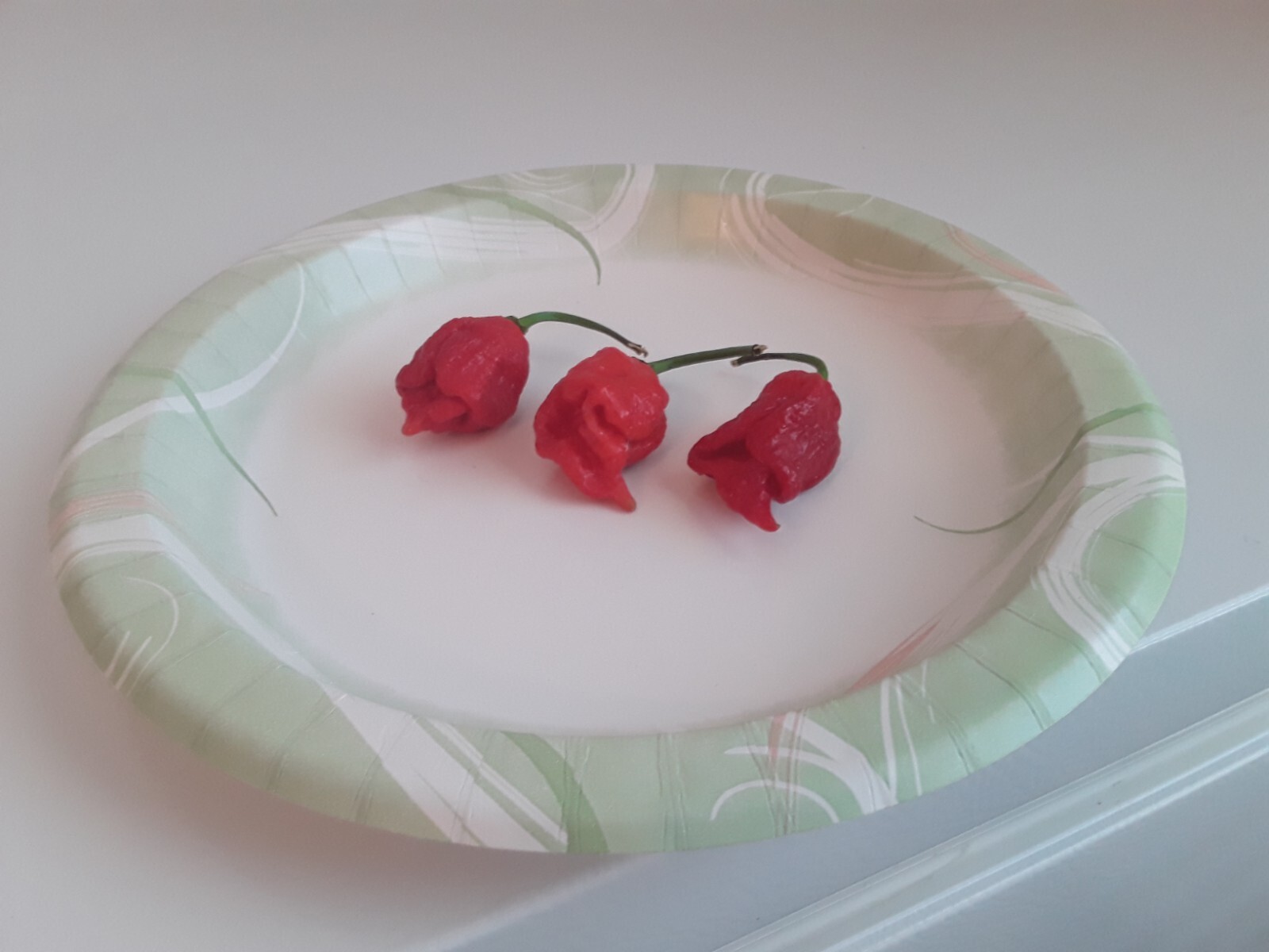 40+ Authentic Trinidad Scorpion Red Moruga Pepper Seeds. Non-Gmo Open Pollinate gallery