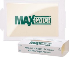 Catchmaster Max-Catch Mouse & Insect Glue Trap 36pk, Mouse Traps Indoor for Home