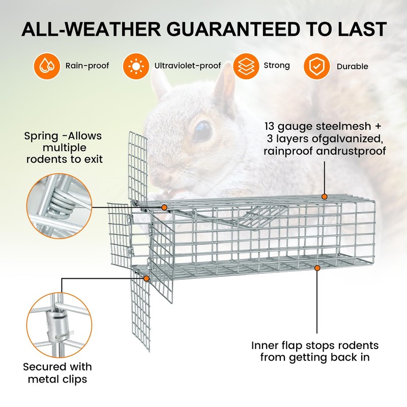 One Way Squirrel Door Excluder Humane Squirrels Chipmunks Contactless Outdoor gallery
