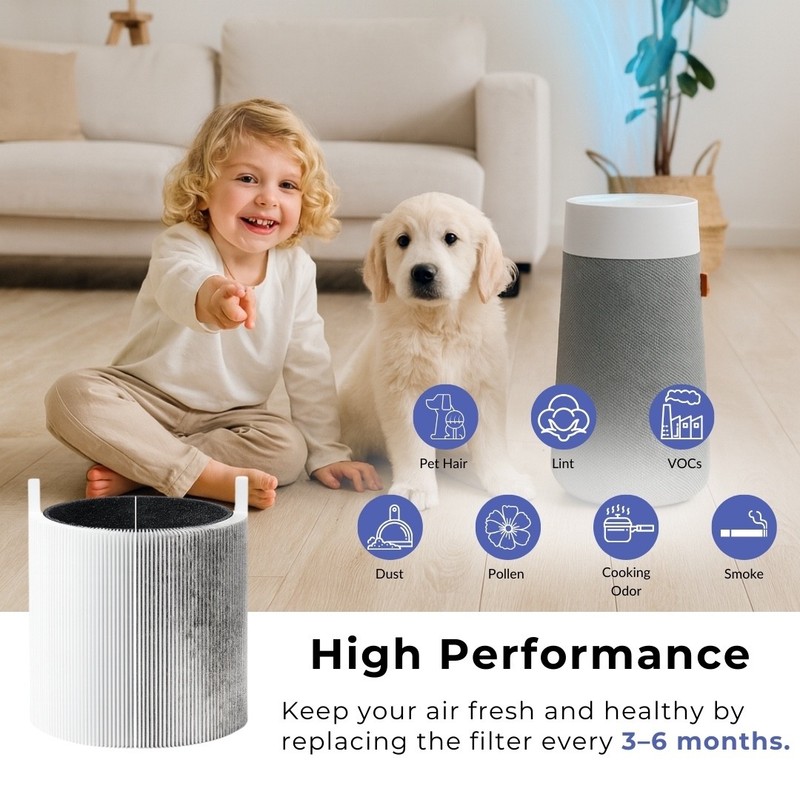 HEPA Carbon Replacement Filter for Blueair Pure Mini Max Air Purifier, 2 Pk gallery
