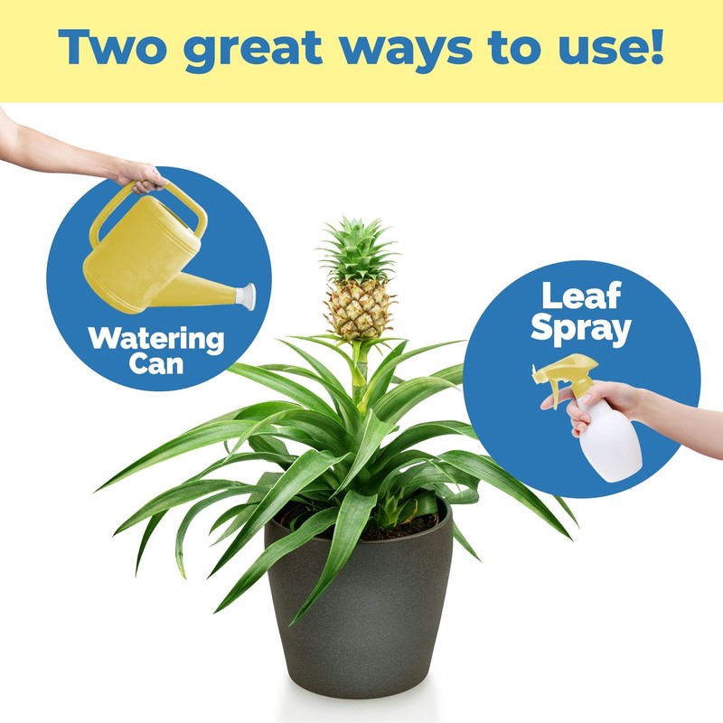 Pineapple Fertilizer for Plants, Supports Fruit 8 oz (1/2 Pint) gallery