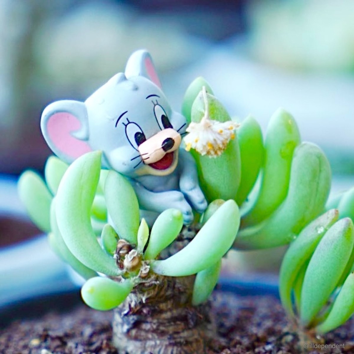 Tuffy Cable Accessory Tsukue no Ue no Tom and Jerry Bandai Japan gallery