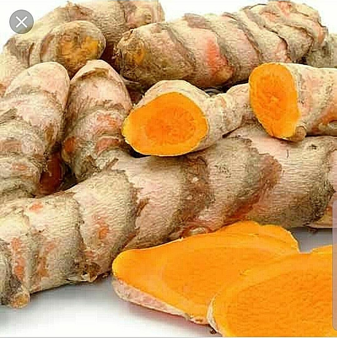 Fresh Turmeric Roots USDA certified Organic 8oz. for Arthritis, FREE SHIPPING gallery
