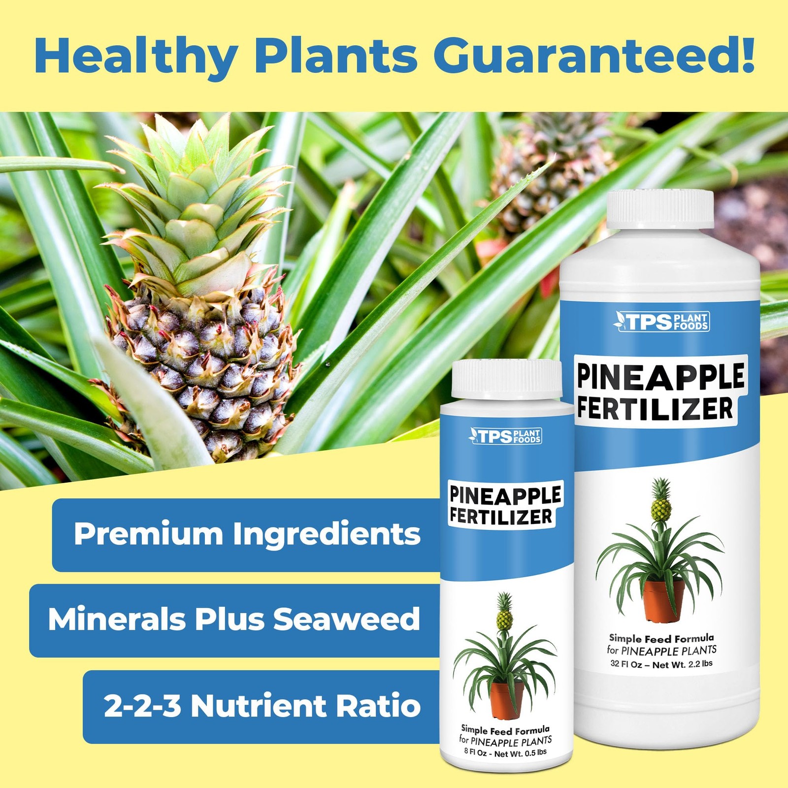 Pineapple Fertilizer for Plants, Supports Fruit 8 oz (1/2 Pint) gallery