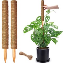 2 Pack 17 Inch Moss Pole Stackable Moss Poles for Climbing Plants Monstera Tall