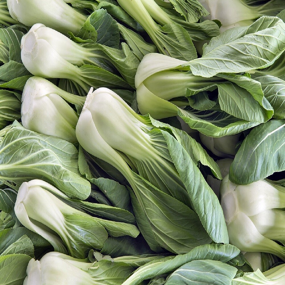 Bok Choy Cabbage Seeds | Heirloom | Non-GMO | Fresh Garden Seeds gallery