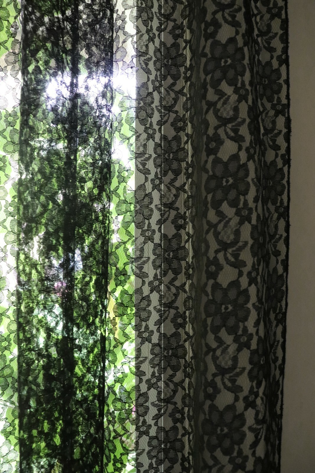 Floral Sheer Lace Window Curtain Panel Decorative Drapes for Home/Special Events gallery