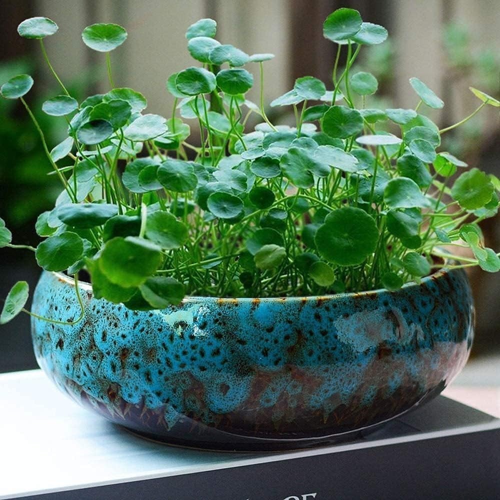 Ceramic Flower Pot Hydroponic Container Large Caliber Daffodil Water Lily gallery