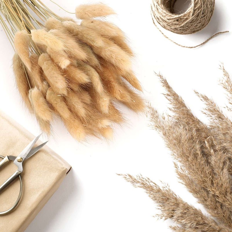 110 PCS Set Dried Pampas Grass Bunny Tails Dried Flowers Boho Flowers Home Decor gallery