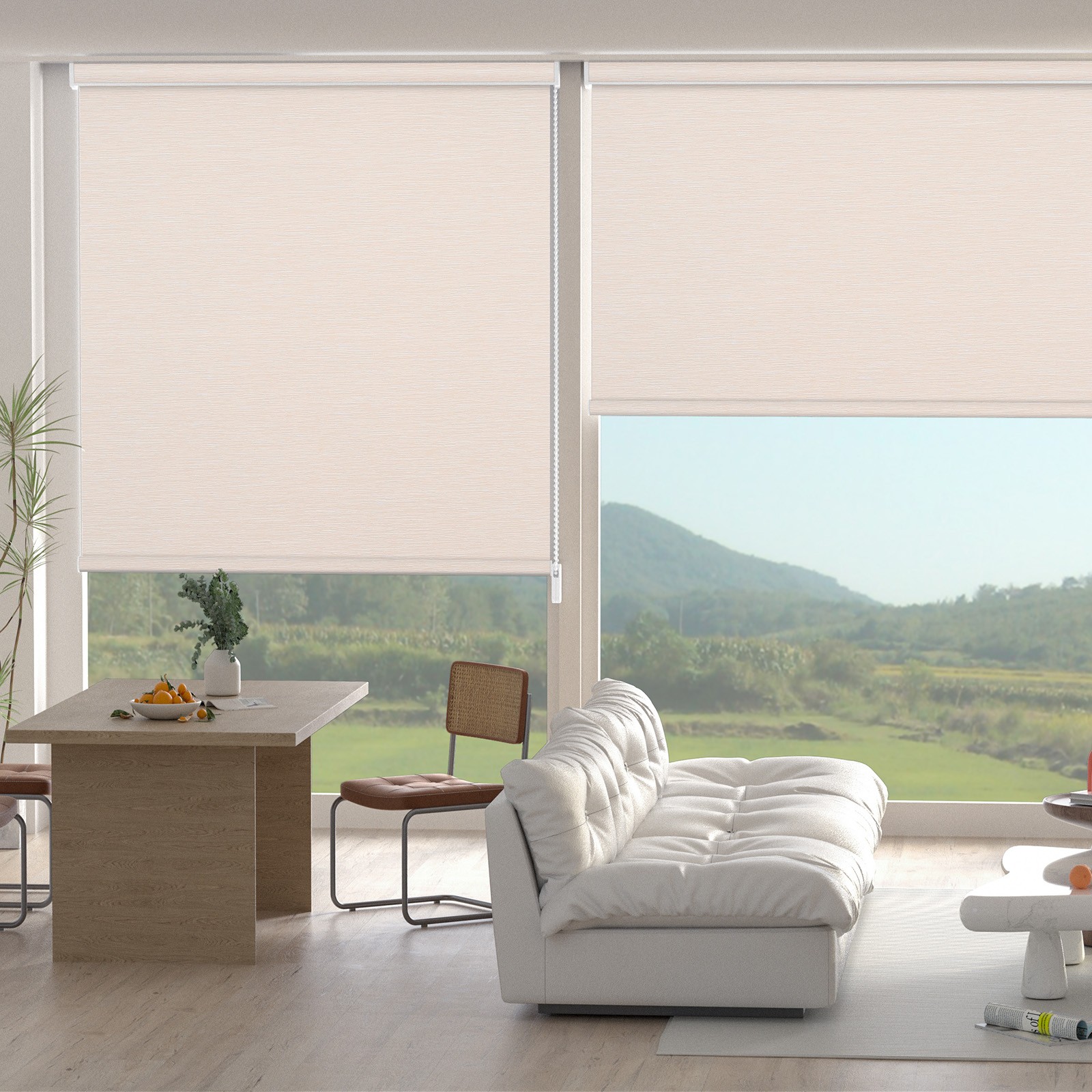 Changshade CUSTOM Light Filtering Roll-up Blinds Window Shades Roller Shades gallery