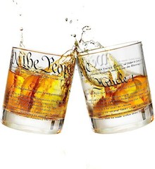 Greenline Goods Whiskey Glasses – United States Constitution US