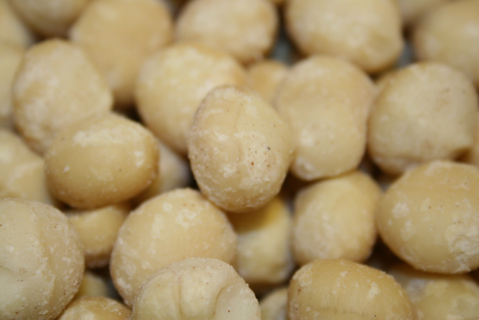 MACADAMIA NUTS RAW UNSALTED, 5LBS gallery