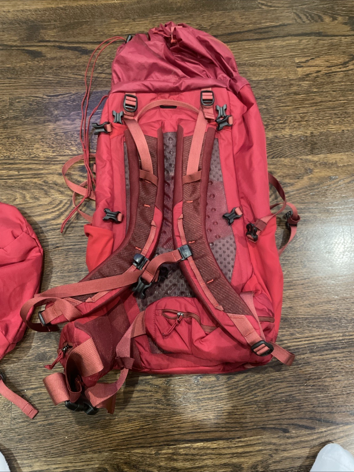 Patagonia Red Backpack 4