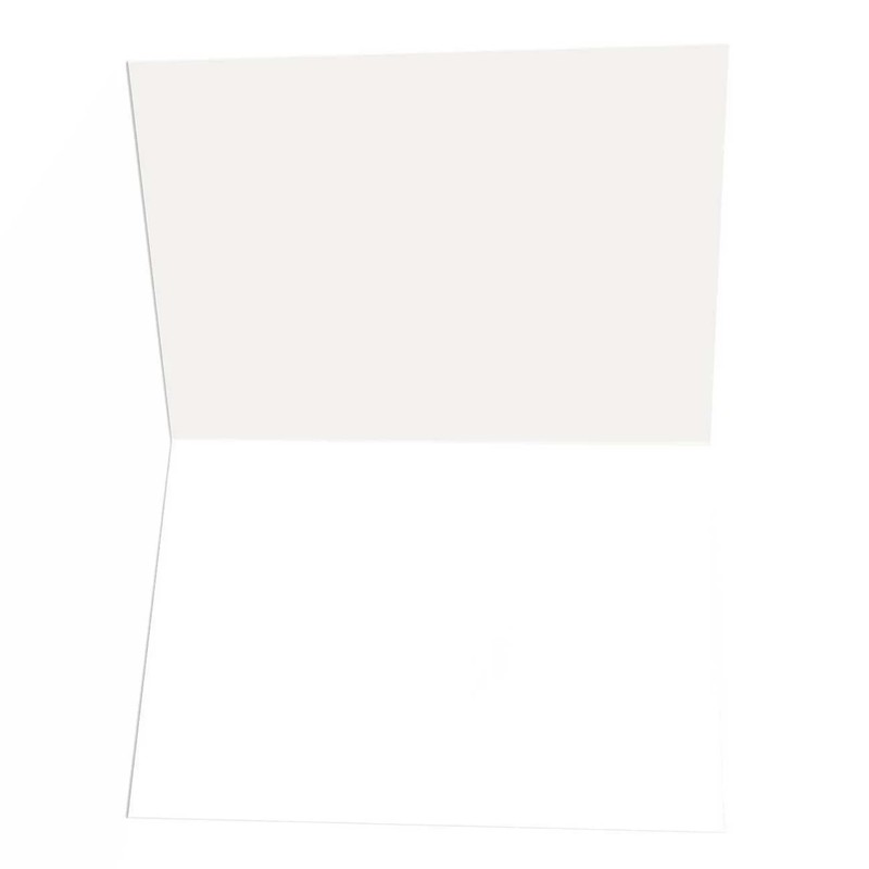 Cute Dragonfly Blank Note Card - 10 Boxed Cards - Note Card - B14433 gallery