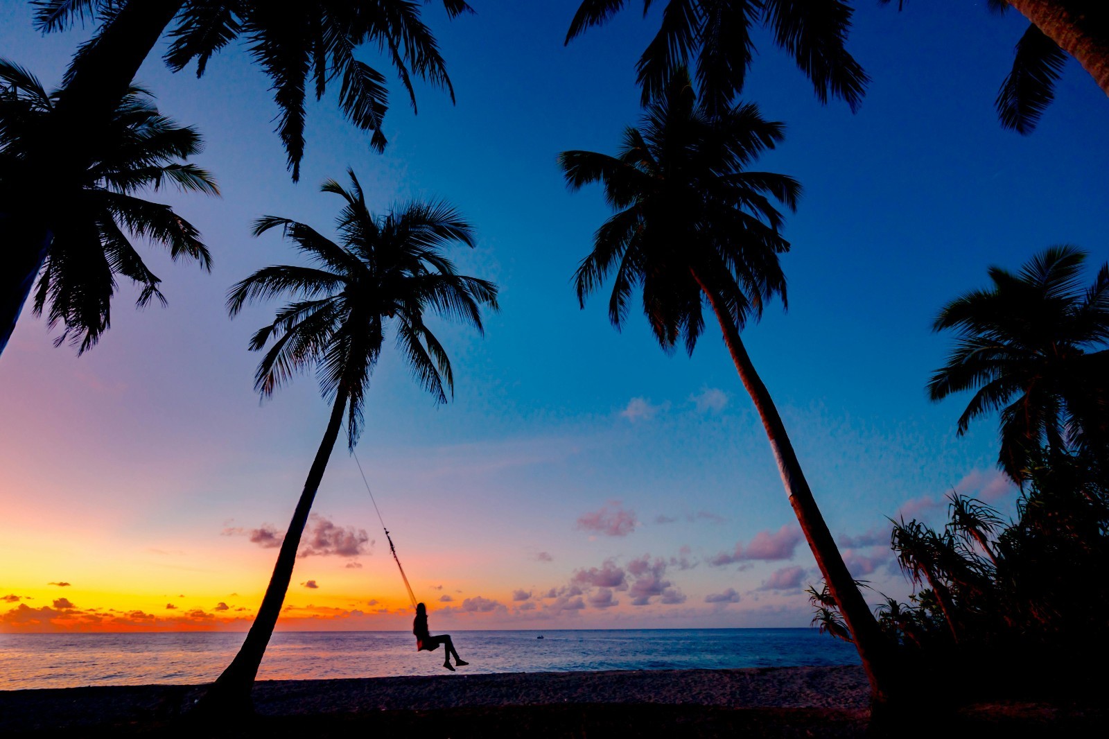 Sunset Beach Swing Digital Art | Tropical Palm Tree Wall Poster | High-Resolutio gallery