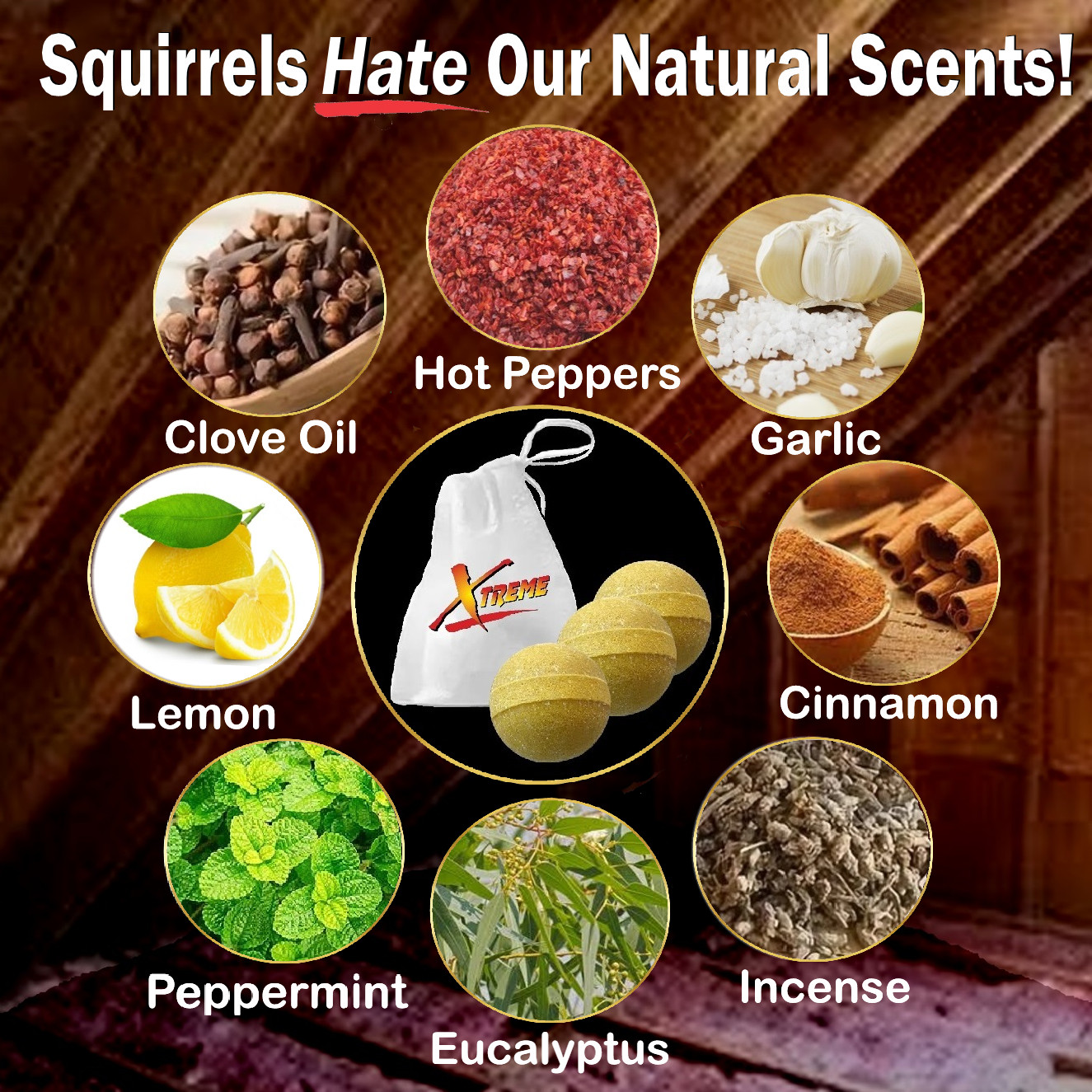 Xtreme Attic Squirrel Repellent. Drives Squirrels Out Fast! 5 Pack gallery