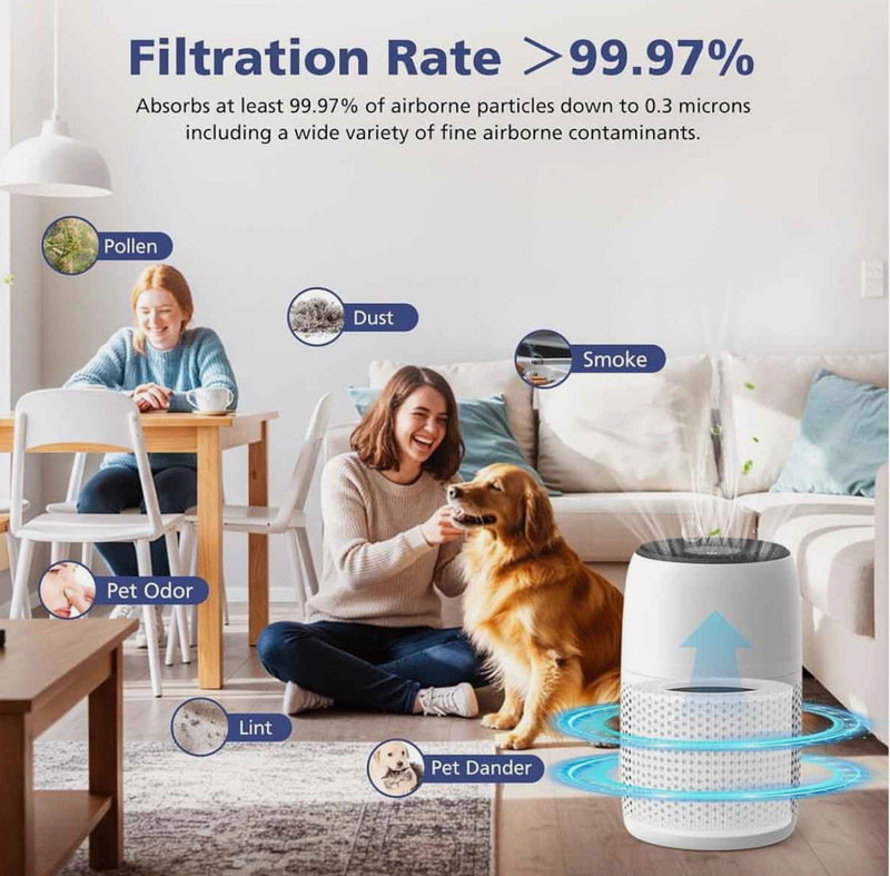 Core Mini-RF True HEPA Replacement Filter for LEVOIT Core Mini Air Purifiers gallery