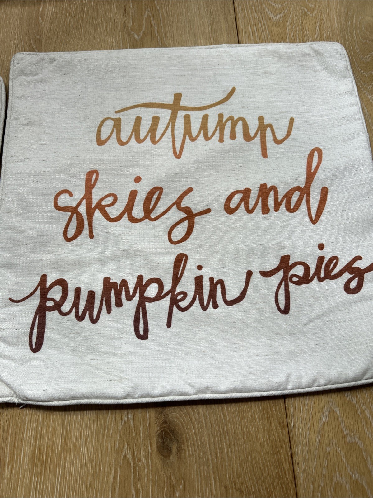 18x18” Decorator Pillow Insert. Set Of Two. Linen Polyester Blend. Zippered. gallery
