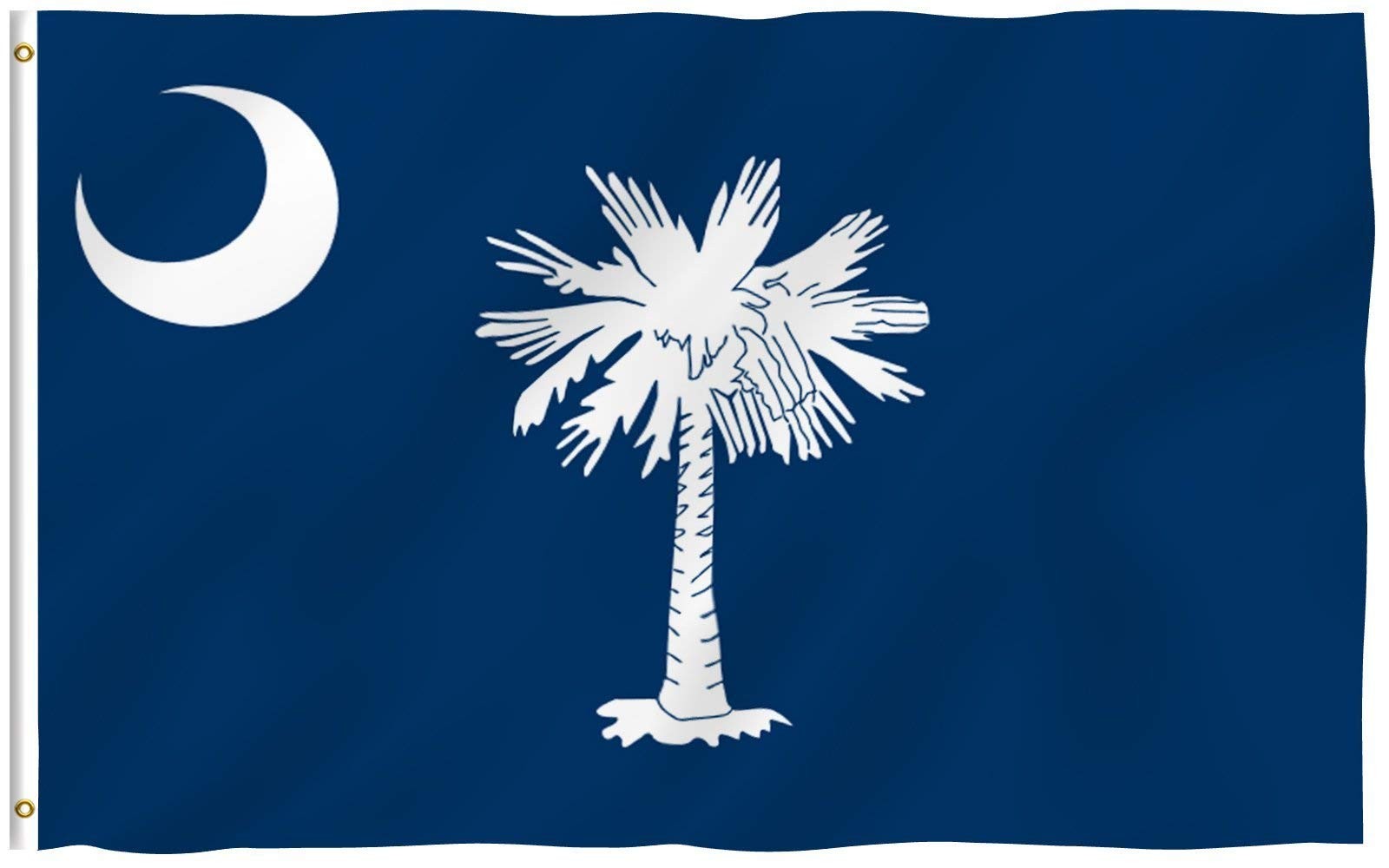 South Carolina State Flag 3x5 Polyester Fade Proof Canvas Header Brass Grommets gallery