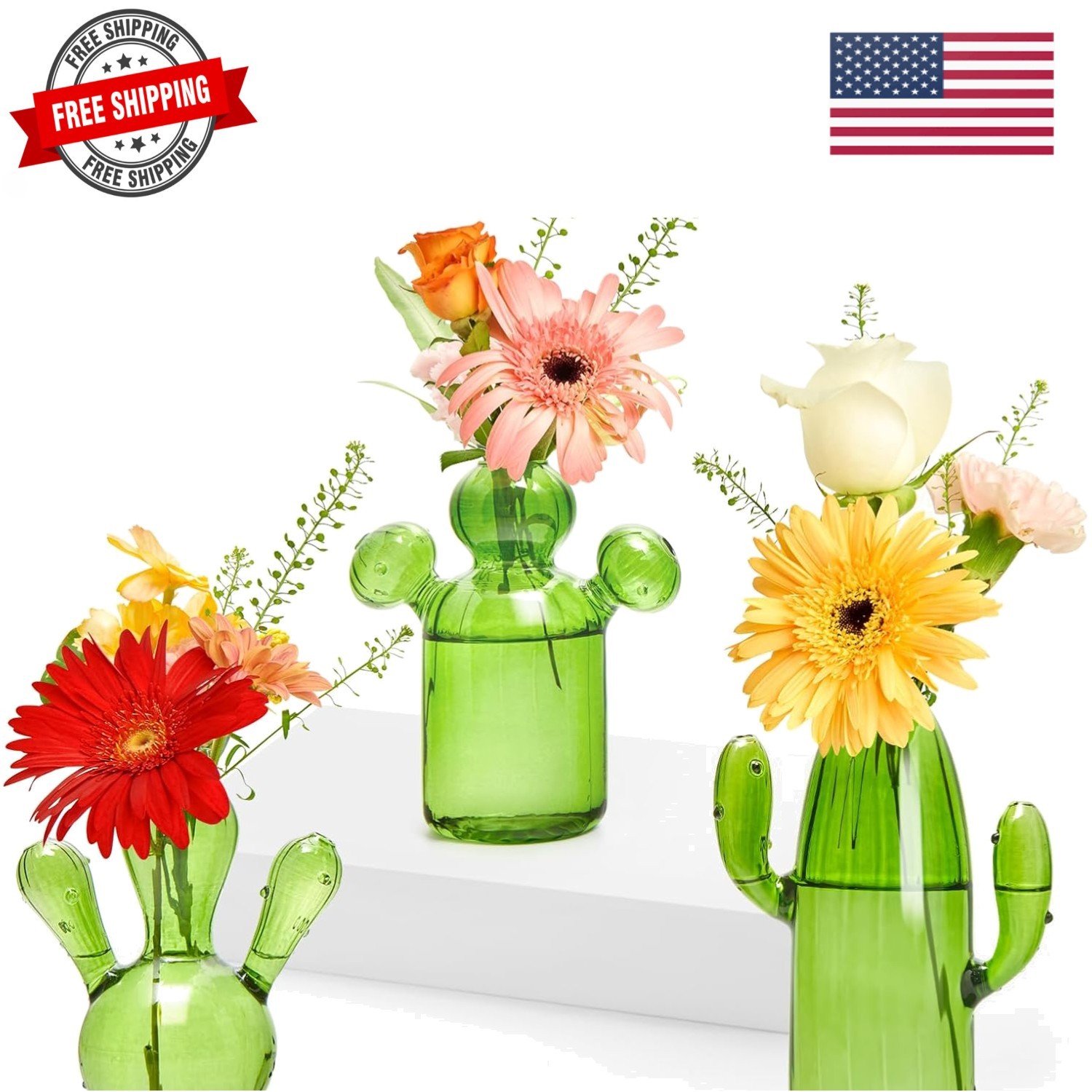 Cactus Plant Propagation Station Terrarium Jars for Plant Cuttings Air Plant ... gallery